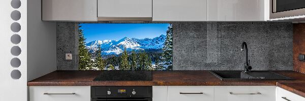 Kitchen wall panels Panorama of the Tatra Mountains