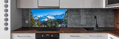 Kitchen wall panels Panorama of the Tatra Mountains