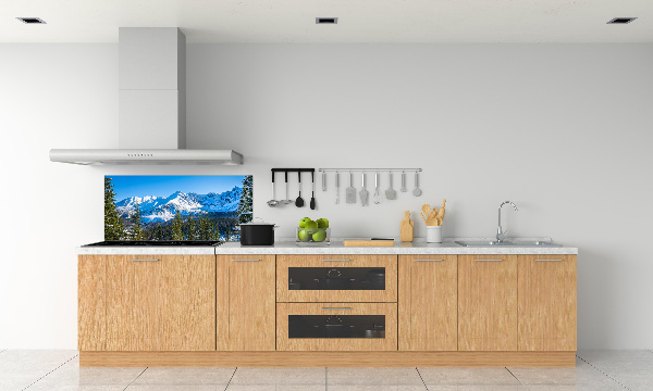 Kitchen wall panels Panorama of the Tatra Mountains