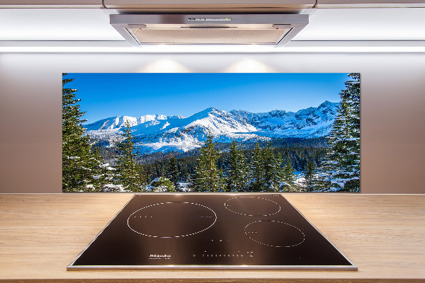 Kitchen wall panels Panorama of the Tatra Mountains