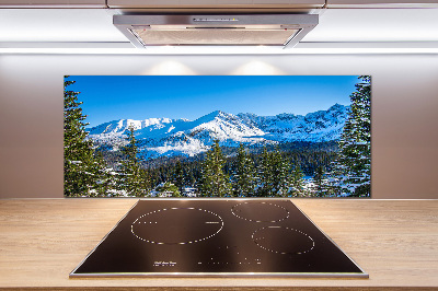 Kitchen wall panels Panorama of the Tatra Mountains