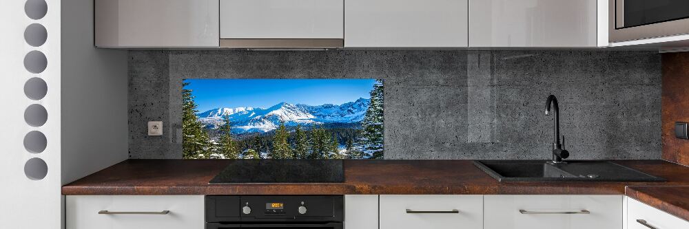 Kitchen wall panels Panorama of the Tatra Mountains