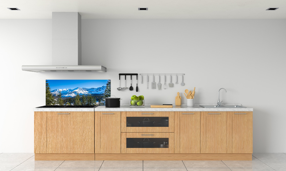 Kitchen wall panels Panorama of the Tatra Mountains