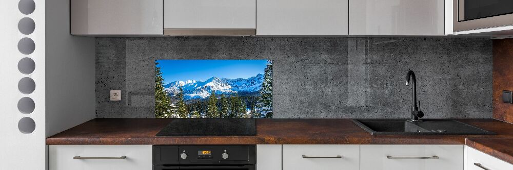 Kitchen wall panels Panorama of the Tatra Mountains