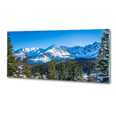 Kitchen wall panels Panorama of the Tatra Mountains