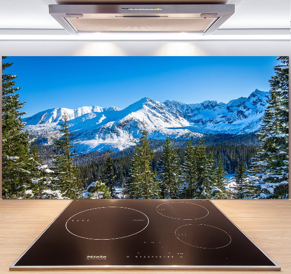 Kitchen wall panels Panorama of the Tatra Mountains