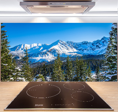 Kitchen wall panels Panorama of the Tatra Mountains