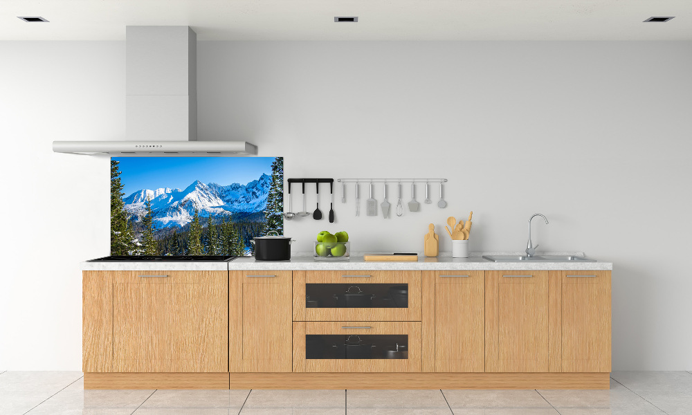 Kitchen wall panels Panorama of the Tatra Mountains