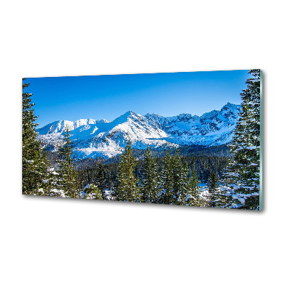 Kitchen wall panels Panorama of the Tatra Mountains