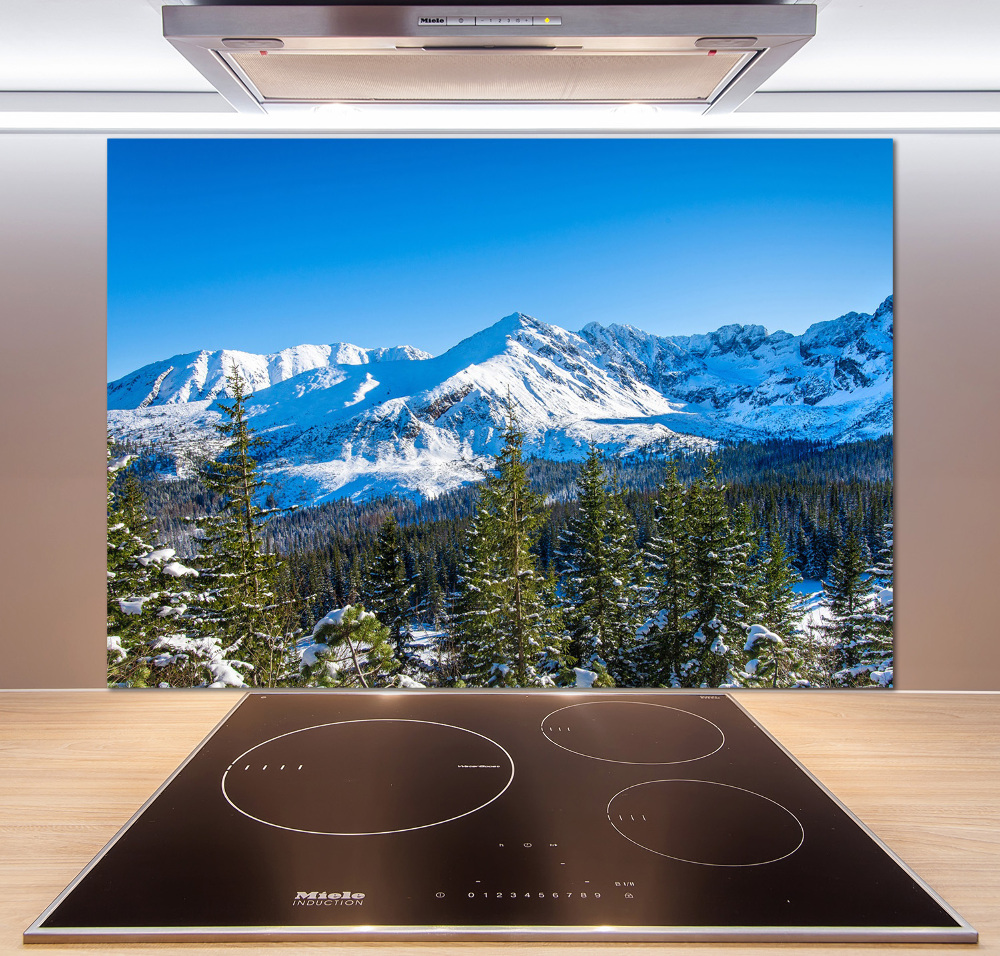 Kitchen wall panels Panorama of the Tatra Mountains