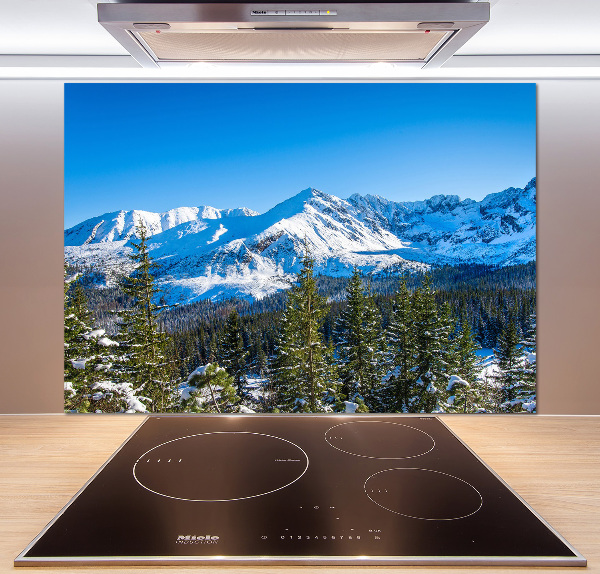 Kitchen wall panels Panorama of the Tatra Mountains