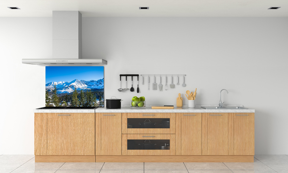 Kitchen wall panels Panorama of the Tatra Mountains