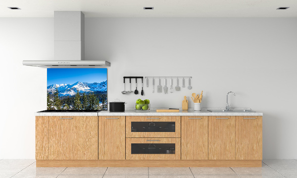 Kitchen wall panels Panorama of the Tatra Mountains