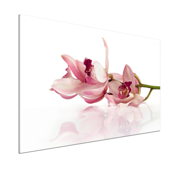 Kitchen splashback Orchid