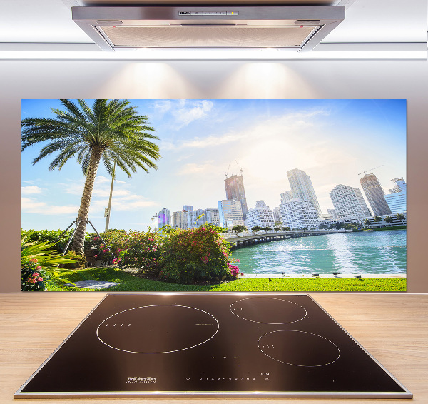 Cooker splashback Miami USA