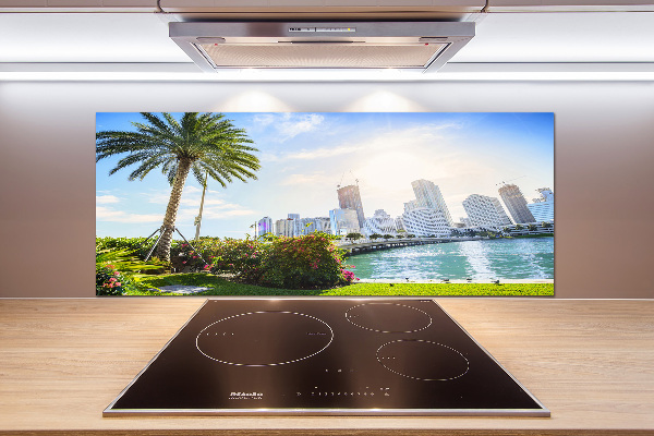 Cooker splashback Miami USA