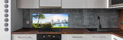 Cooker splashback Miami USA