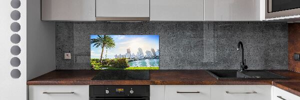 Cooker splashback Miami USA