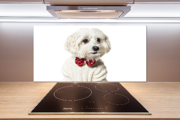 Cooker splashback Maltese in a bow tie