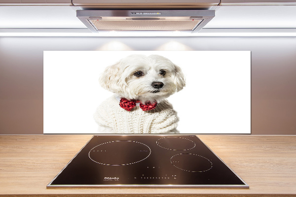 Cooker splashback Maltese in a bow tie