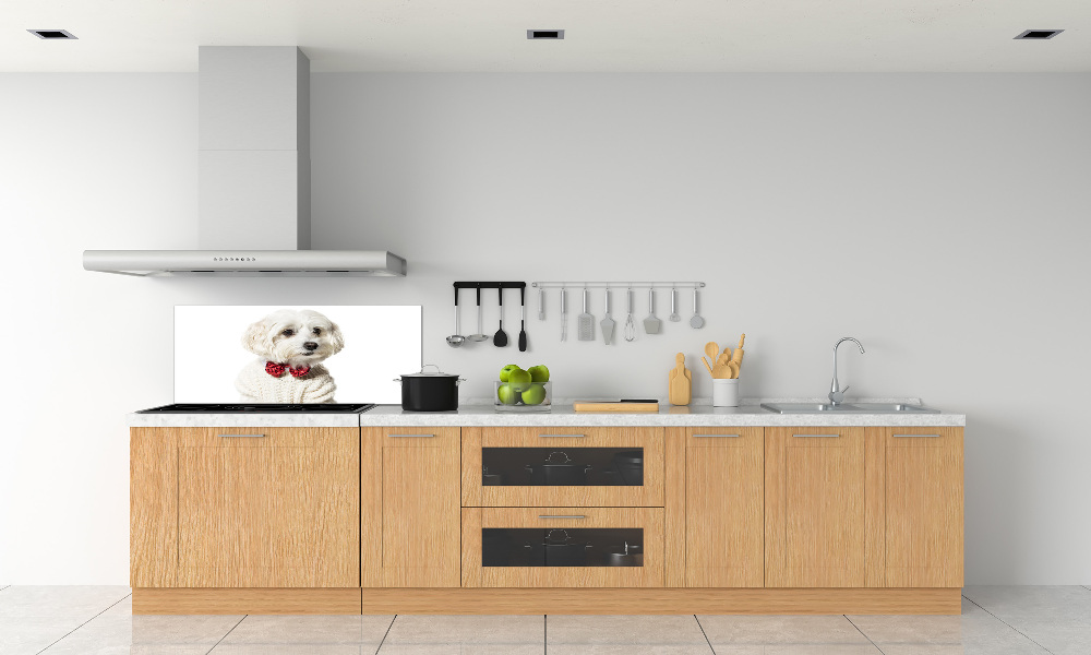 Cooker splashback Maltese in a bow tie