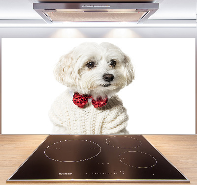 Cooker splashback Maltese in a bow tie