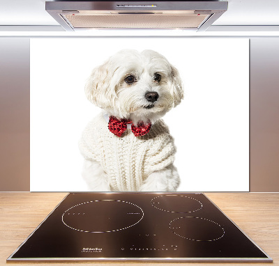 Cooker splashback Maltese in a bow tie