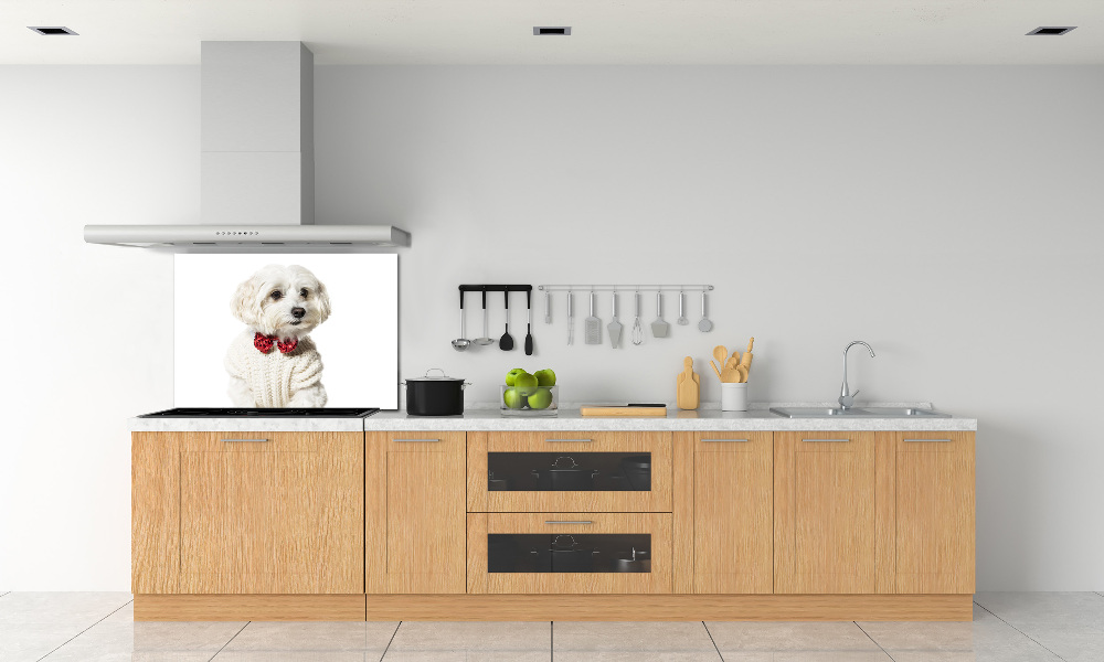 Cooker splashback Maltese in a bow tie