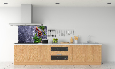 Kitchen splashback Herbs and spices