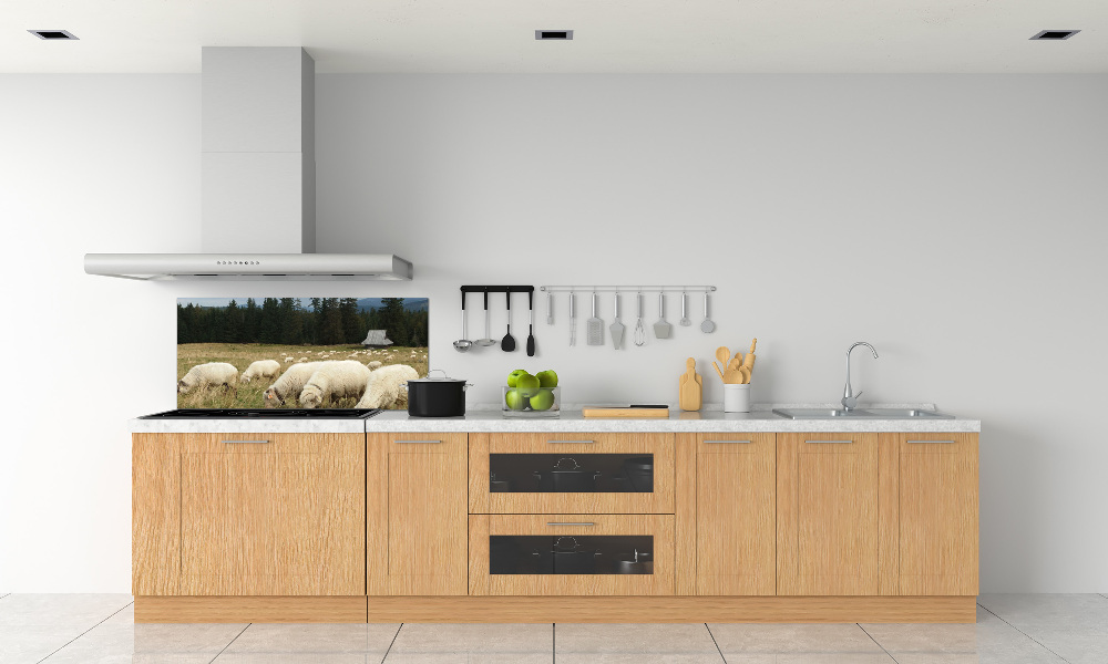 Cooker splashback Grazing sheep