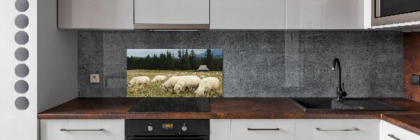 Cooker splashback Grazing sheep