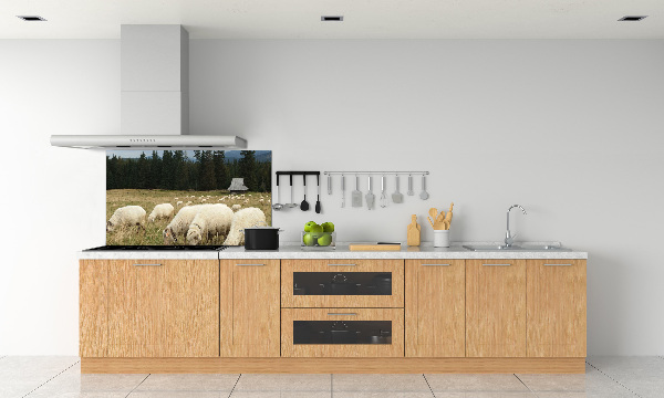 Cooker splashback Grazing sheep