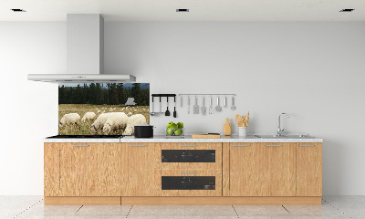 Cooker splashback Grazing sheep