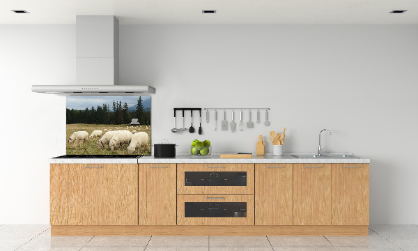 Cooker splashback Grazing sheep