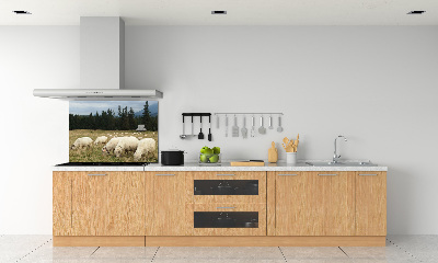 Cooker splashback Grazing sheep