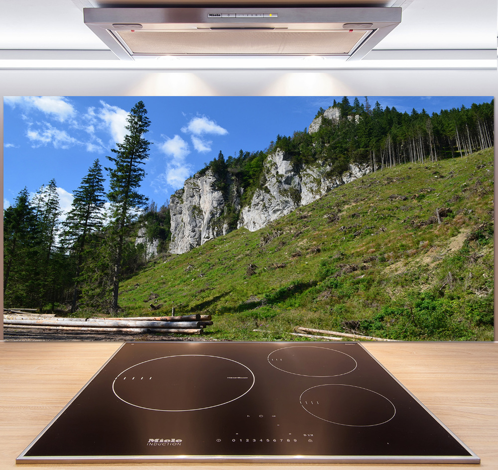 Glass splashback Rocky peaks