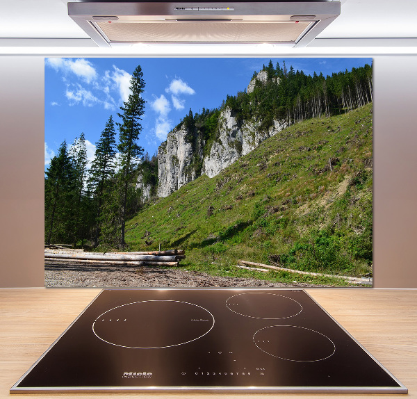 Glass splashback Rocky peaks