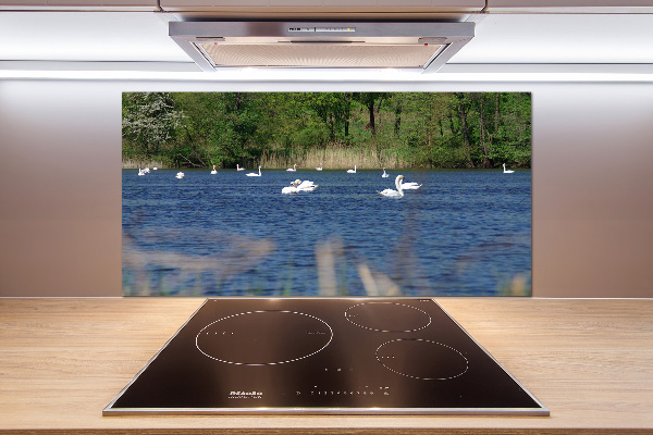 Cooker splashback White swans