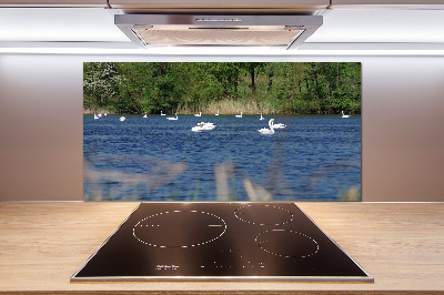 Cooker splashback White swans