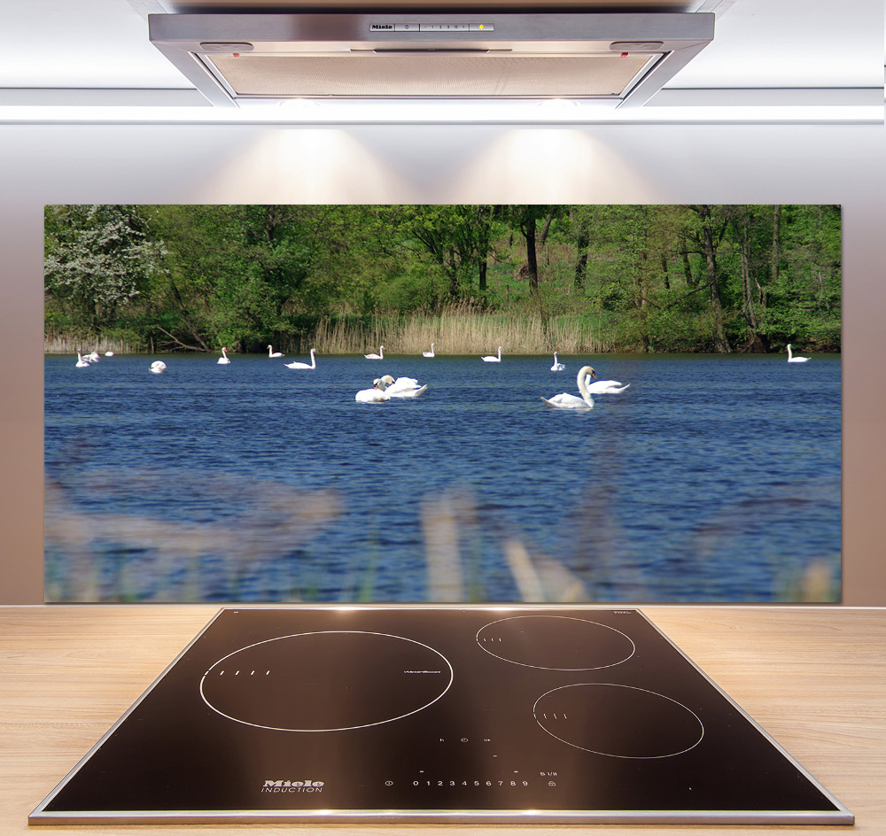 Cooker splashback White swans