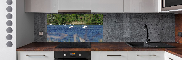 Cooker splashback White swans