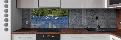 Cooker splashback White swans