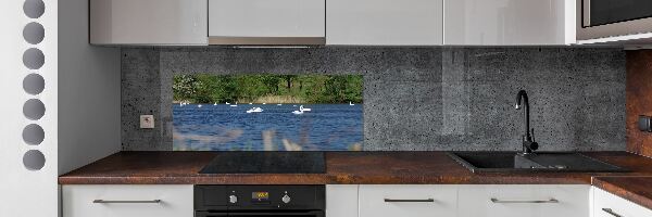 Cooker splashback White swans