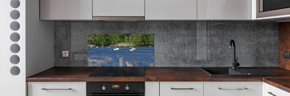 Cooker splashback White swans