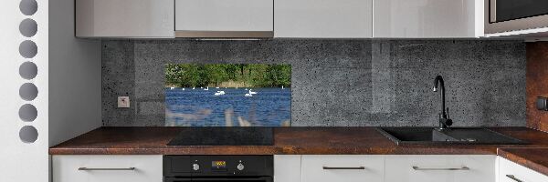 Cooker splashback White swans