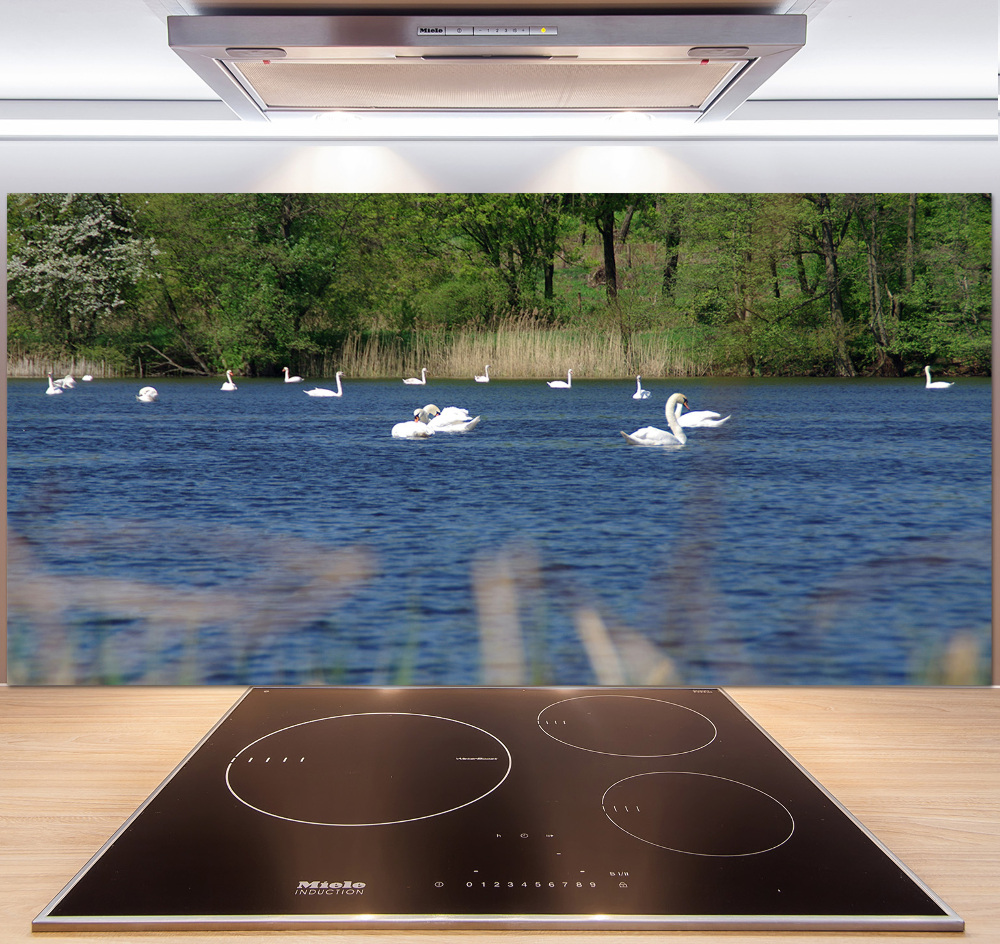 Cooker splashback White swans