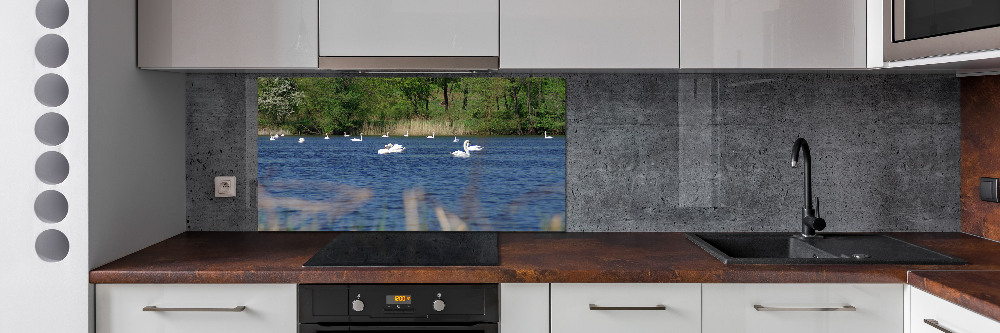 Cooker splashback White swans