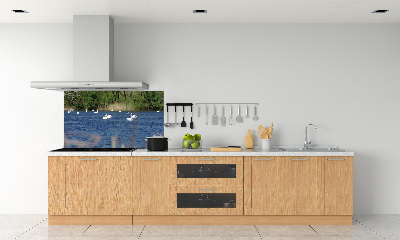 Cooker splashback White swans