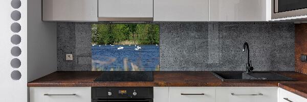 Cooker splashback White swans