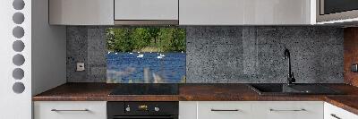 Cooker splashback White swans